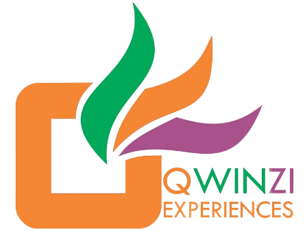 Qwinzi logo
